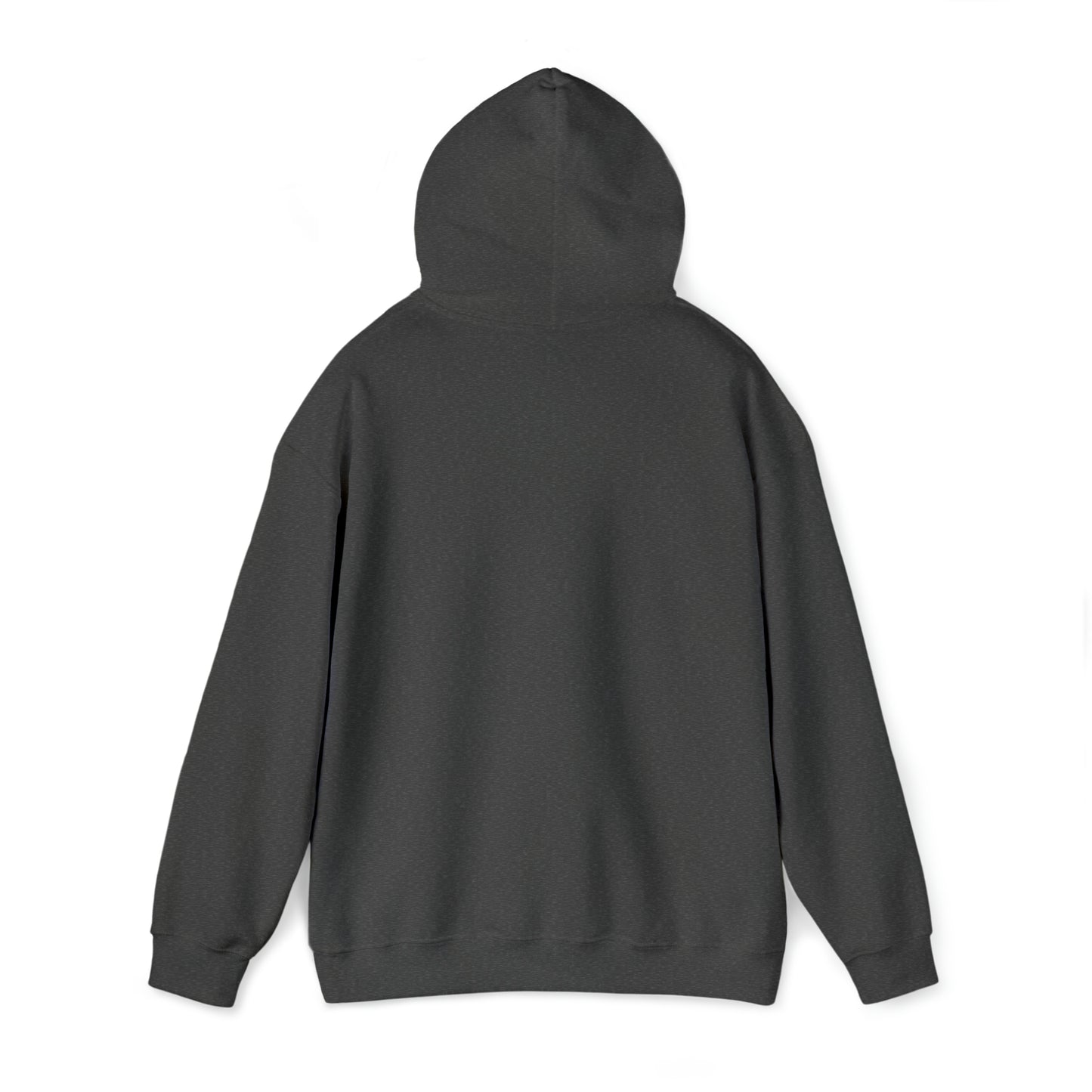 "YOU ARE OFFLINE" Hoodie